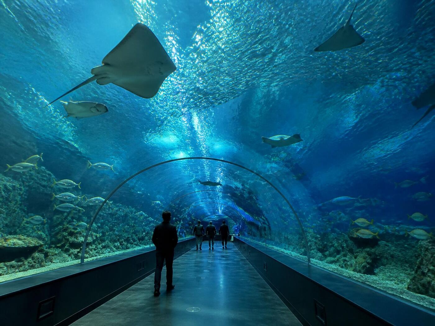 Burj Khalifa Experience — private luxury tour in United Arab Emirates (3 of 3)