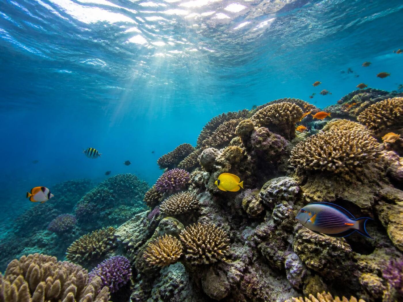 Phi Phi Islands — private luxury tour in Thailand (3 of 3)