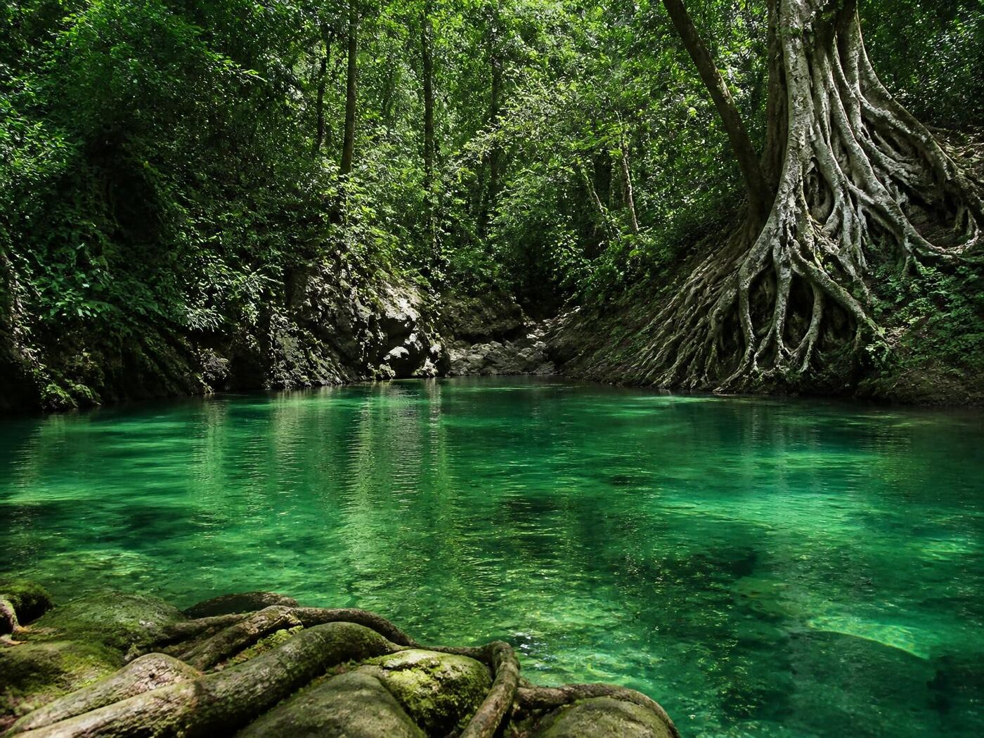 Krabi Tour — private luxury tour in Thailand (2 of 3)