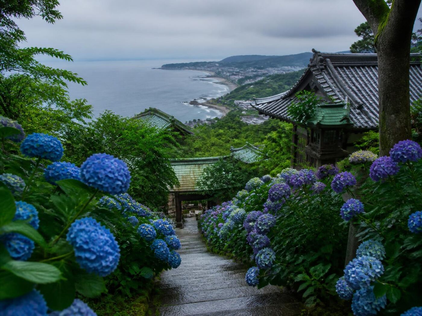 Kamakura Tour — private luxury tour in Japan (2 of 3)