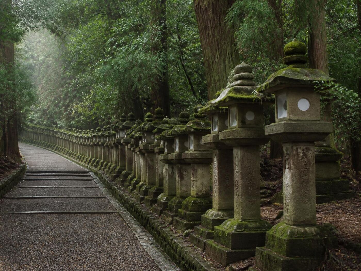 Nara Tour — private luxury tour in Japan (3 of 3)