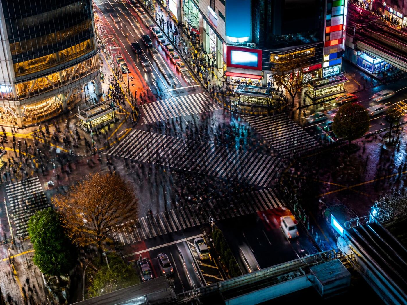 Tokyo Private Tour — private luxury tour in Japan (3 of 3)