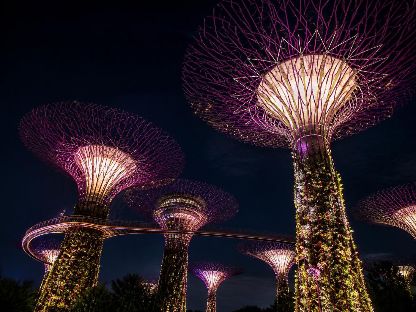 Gardens by the Bay — private luxury tour in Singapore (3 of 3)