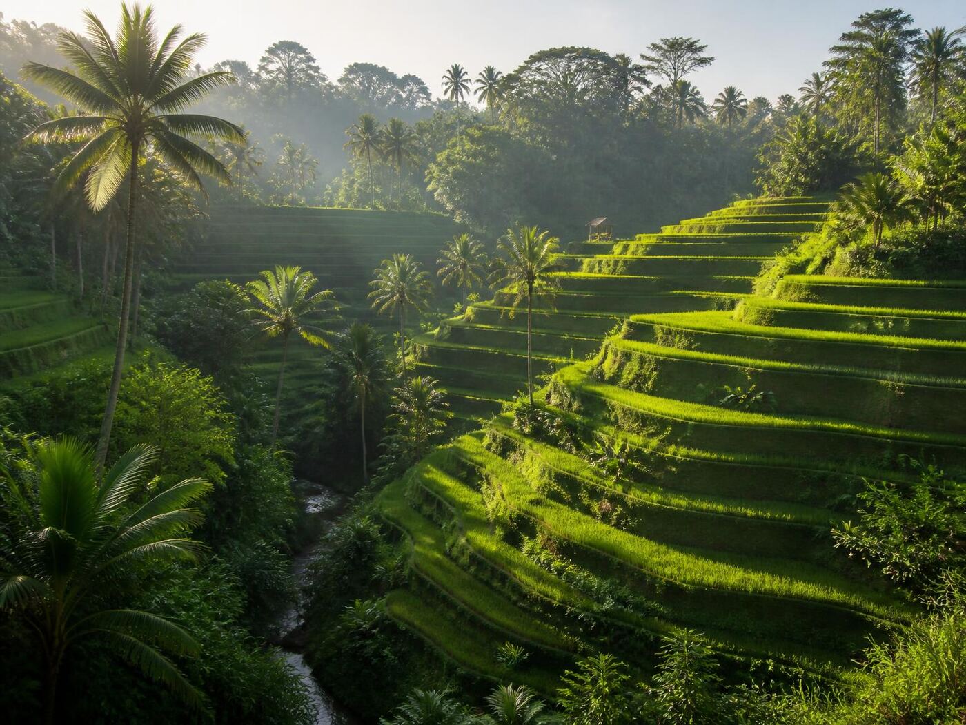 Ubud Cultural Tour — private luxury tour in Indonesia (3 of 3)