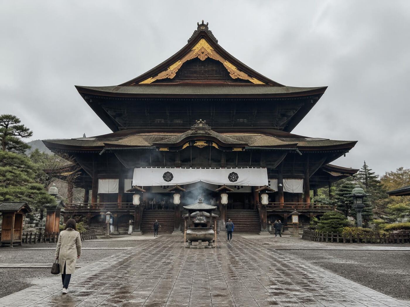 Nagano Snow Monkey Tour — private luxury tour in Japan (2 of 3)